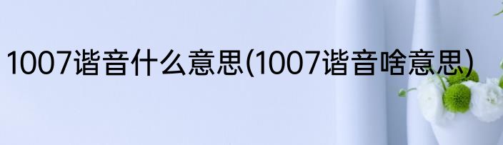 1007谐音什么意思(1007谐音啥意思)