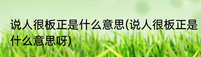 说人很板正是什么意思(说人很板正是什么意思呀)