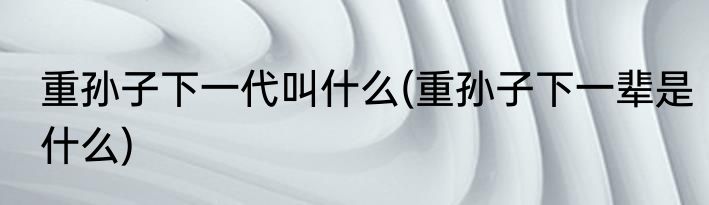 重孙子下一代叫什么(重孙子下一辈是什么)