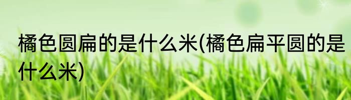 橘色圆扁的是什么米(橘色扁平圆的是什么米)