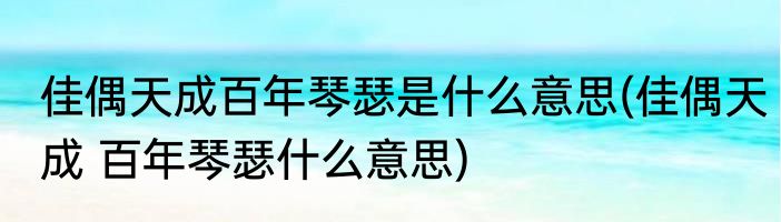 佳偶天成百年琴瑟是什么意思(佳偶天成 百年琴瑟什么意思)