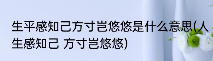 生平感知己方寸岂悠悠是什么意思(人生感知己 方寸岂悠悠)