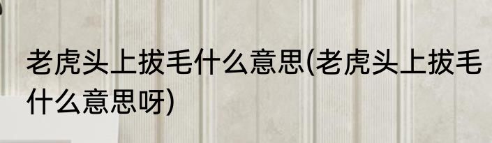 老虎头上拔毛什么意思(老虎头上拔毛什么意思呀)