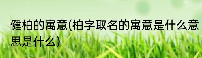 健柏的寓意(柏字取名的寓意是什么意思是什么)