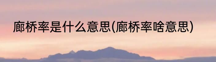 廊桥率是什么意思(廊桥率啥意思)