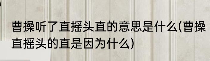 曹操听了直摇头直的意思是什么(曹操直摇头的直是因为什么)