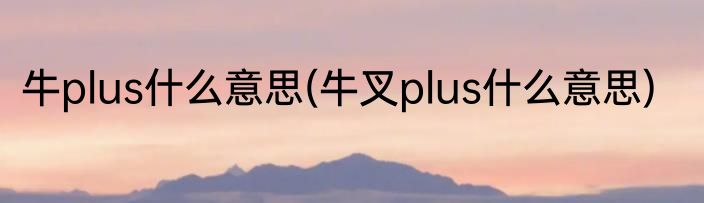 牛plus什么意思(牛叉plus什么意思)