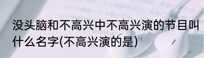 没头脑和不高兴中不高兴演的节目叫什么名字(不高兴演的是)