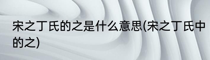宋之丁氏的之是什么意思(宋之丁氏中的之)