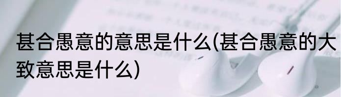 甚合愚意的意思是什么(甚合愚意的大致意思是什么)