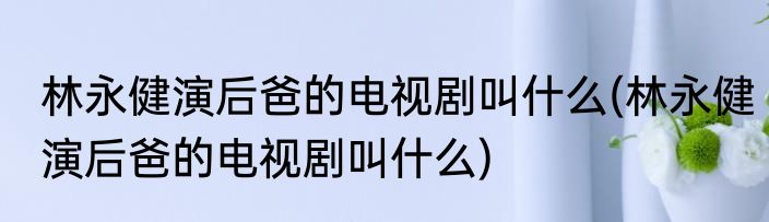 林永健演后爸的电视剧叫什么(林永健演后爸的电视剧叫什么)