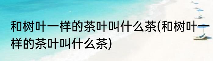 和树叶一样的茶叶叫什么茶(和树叶一样的茶叶叫什么茶)