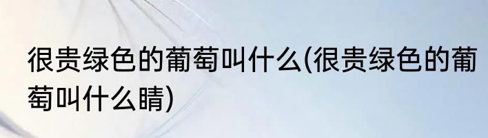 很贵绿色的葡萄叫什么(很贵绿色的葡萄叫什么睛)