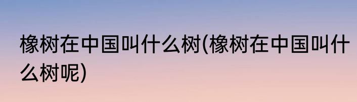 橡树在中国叫什么树(橡树在中国叫什么树呢)