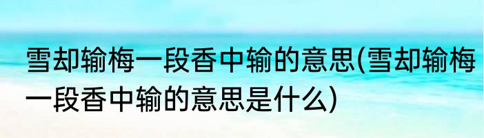 雪却输梅一段香中输的意思(雪却输梅一段香中输的意思是什么)