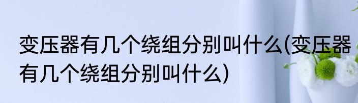变压器有几个绕组分别叫什么(变压器有几个绕组分别叫什么)