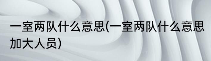 一室两队什么意思(一室两队什么意思 加大人员)