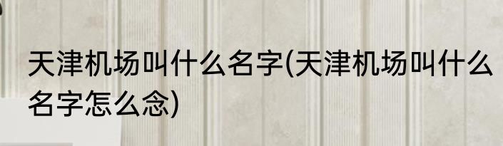 天津机场叫什么名字(天津机场叫什么名字怎么念)