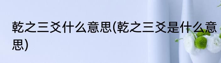 乾之三爻什么意思(乾之三爻是什么意思)