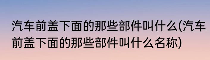汽车前盖下面的那些部件叫什么(汽车前盖下面的那些部件叫什么名称)