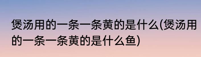 煲汤用的一条一条黄的是什么(煲汤用的一条一条黄的是什么鱼)