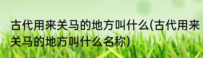古代用来关马的地方叫什么(古代用来关马的地方叫什么名称)