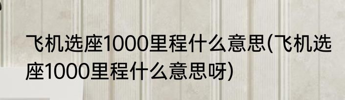 飞机选座1000里程什么意思(飞机选座1000里程什么意思呀)