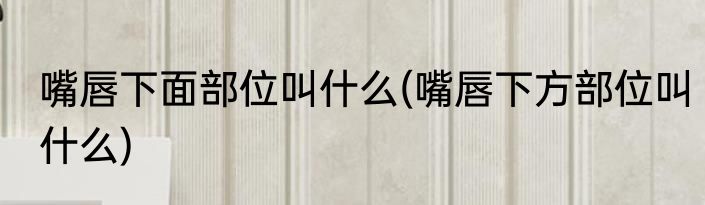 嘴唇下面部位叫什么(嘴唇下方部位叫什么)