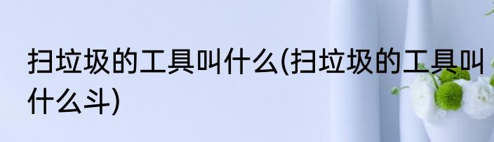 扫垃圾的工具叫什么(扫垃圾的工具叫什么斗)