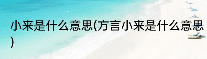 小来是什么意思(方言小来是什么意思)