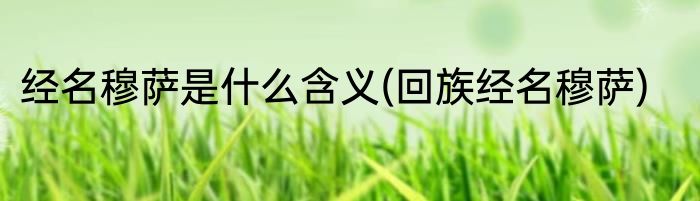 经名穆萨是什么含义(回族经名穆萨)