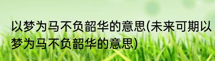 以梦为马不负韶华的意思(未来可期以梦为马不负韶华的意思)