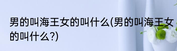男的叫海王女的叫什么(男的叫海王女的叫什么?)