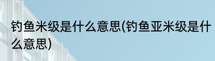 钓鱼米级是什么意思(钓鱼亚米级是什么意思)