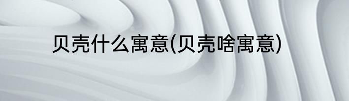 贝壳什么寓意(贝壳啥寓意)