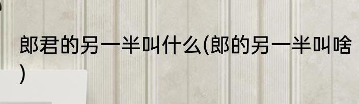 郎君的另一半叫什么(郎的另一半叫啥)