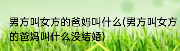 男方叫女方的爸妈叫什么(男方叫女方的爸妈叫什么没结婚)
