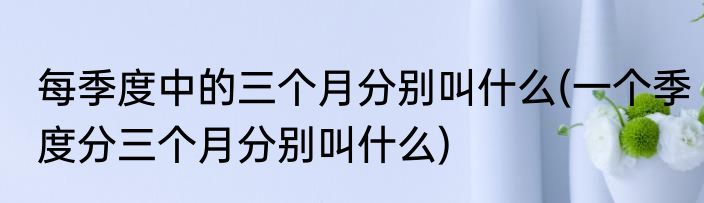 每季度中的三个月分别叫什么(一个季度分三个月分别叫什么)