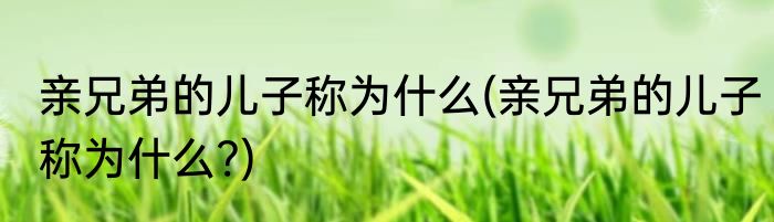 亲兄弟的儿子称为什么(亲兄弟的儿子称为什么?)