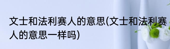 文士和法利赛人的意思(文士和法利赛人的意思一样吗)