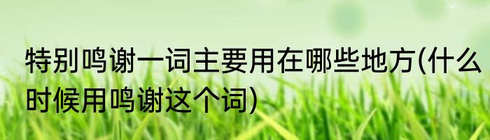 特别鸣谢一词主要用在哪些地方(什么时候用鸣谢这个词)
