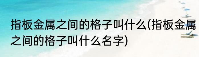 指板金属之间的格子叫什么(指板金属之间的格子叫什么名字)