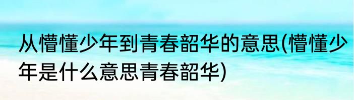 从懵懂少年到青春韶华的意思(懵懂少年是什么意思青春韶华)