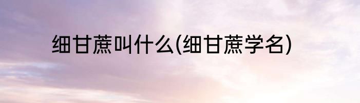 细甘蔗叫什么(细甘蔗学名)