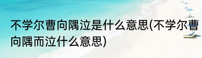 不学尔曹向隅泣是什么意思(不学尔曹向隅而泣什么意思)