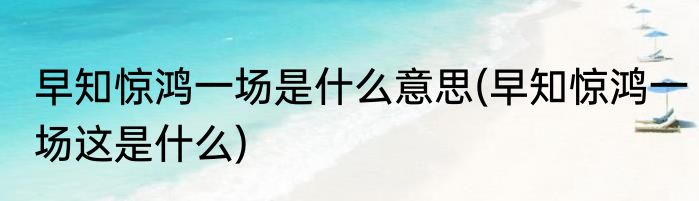 早知惊鸿一场是什么意思(早知惊鸿一场这是什么)