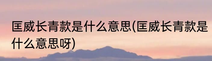 匡威长青款是什么意思(匡威长青款是什么意思呀)