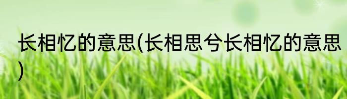长相忆的意思(长相思兮长相忆的意思)