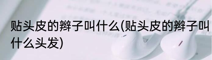 贴头皮的辫子叫什么(贴头皮的辫子叫什么头发)