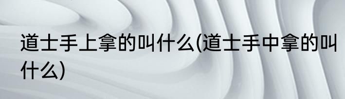 道士手上拿的叫什么(道士手中拿的叫什么)